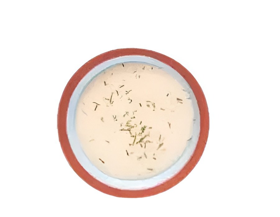 Close-up of creamy house-made ranch dressing in a small serving cup